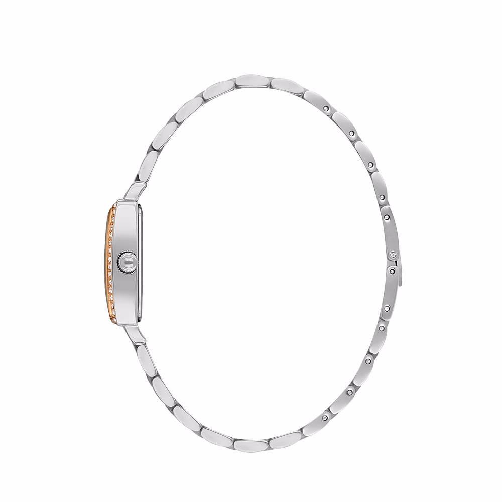 Daniel Klein Premium - Ceas Dama Quartz Argintiu DK.1.13480.4